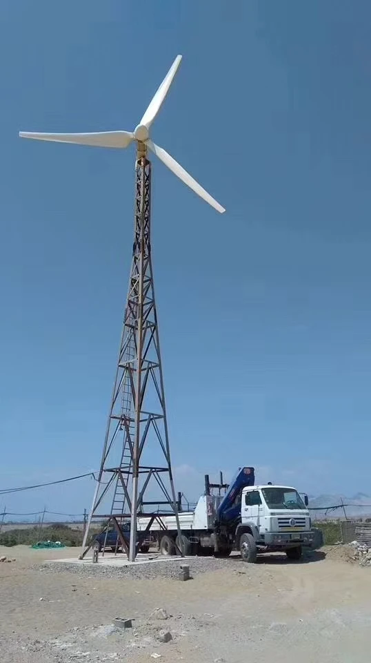 CE Polandia Jerman Ukraina Ene - Wind Turbine Generator ulasan dan harga