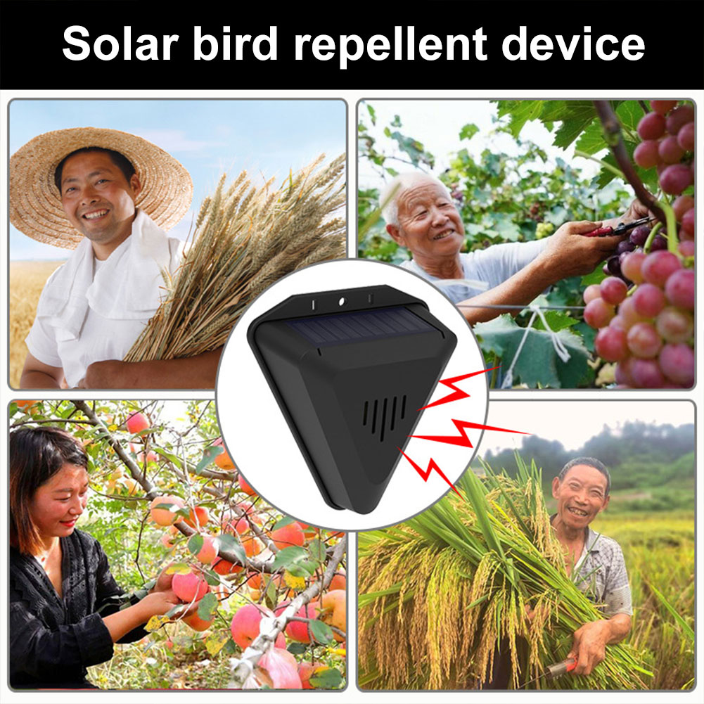 Pengusir Burung Tenaga Surya d - Solar Panel Monocrystalline ulasan dan harga